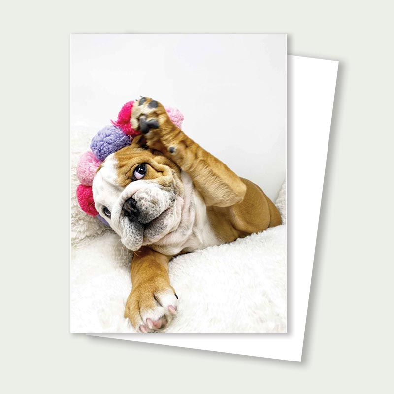 Bulldog Puppy Card