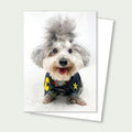 Charlie Denim Poodle Rescue Card