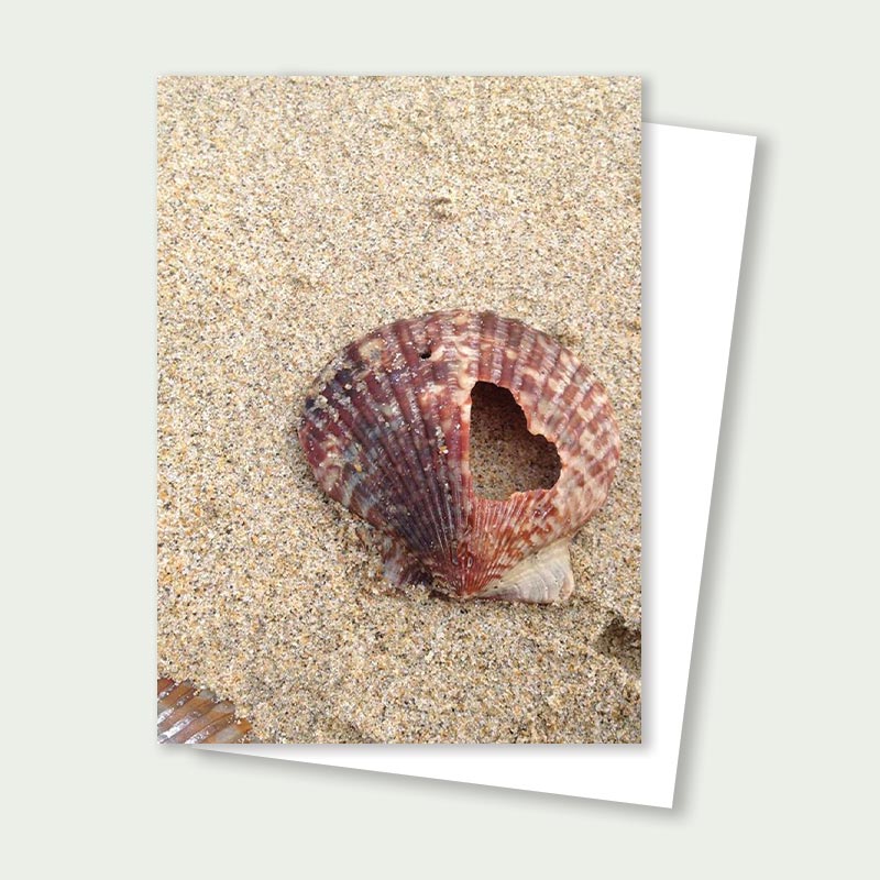 Seashell on the Beach Greeting Card – Coastal Photography Card