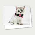 Indie Cat Flower Card - Scottish Straight Cat Card