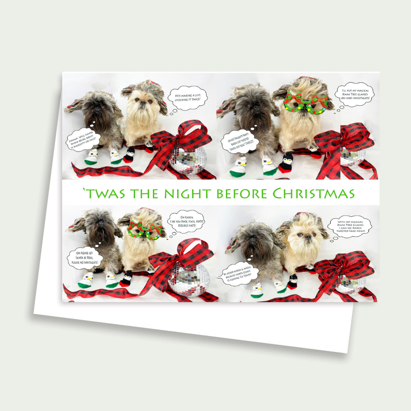 Coto Bro Brussels Griffon Holiday Card