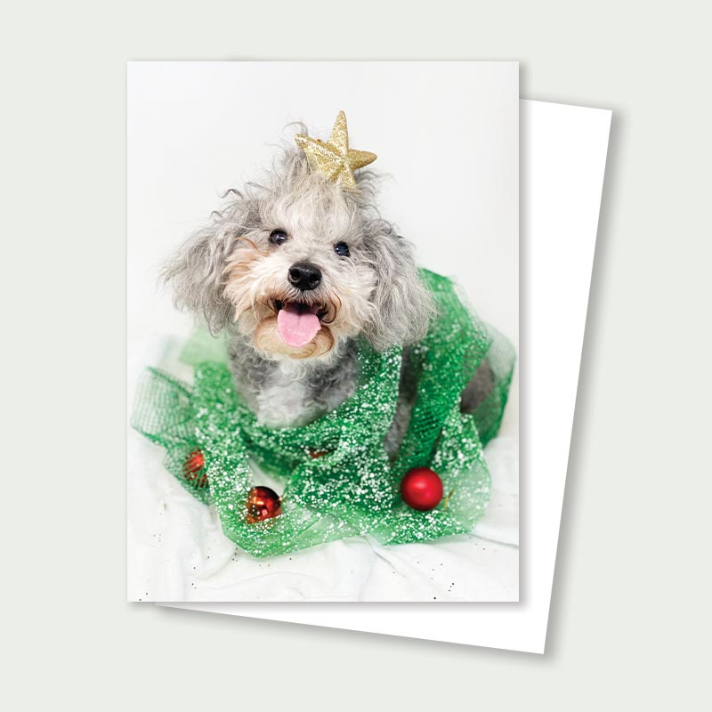 Charlie Holiday Rescue Card - Poodle Christmas Tree Card