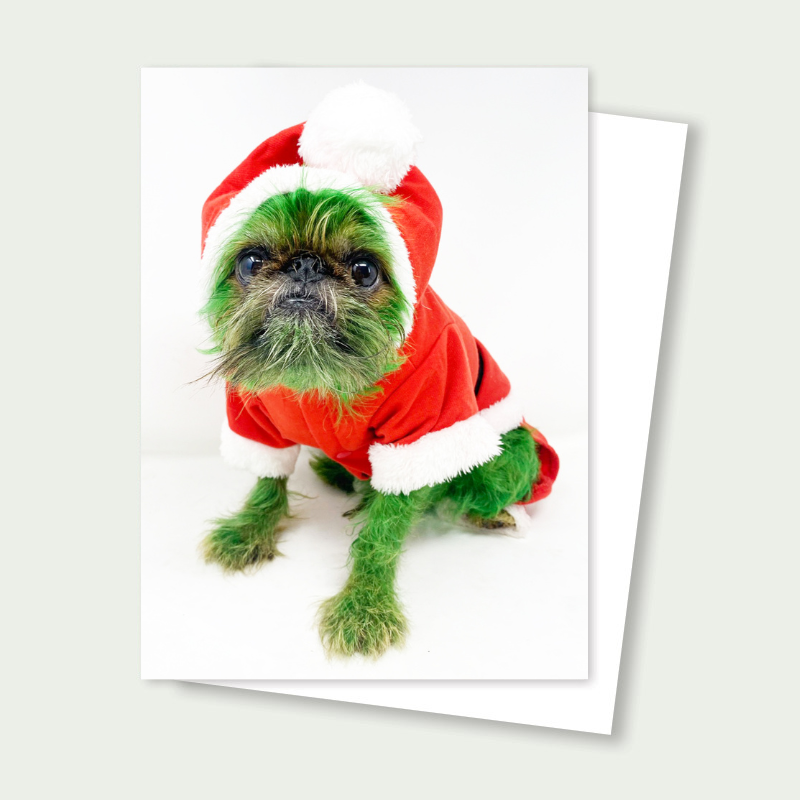 Brussels Griffon- Grinch Card