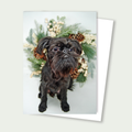Hank the Holiday Griff