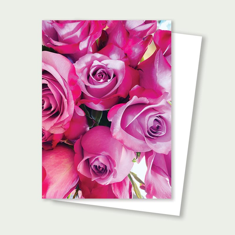 Pink Roses Card