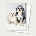 Minka and Mom Rescue Card
