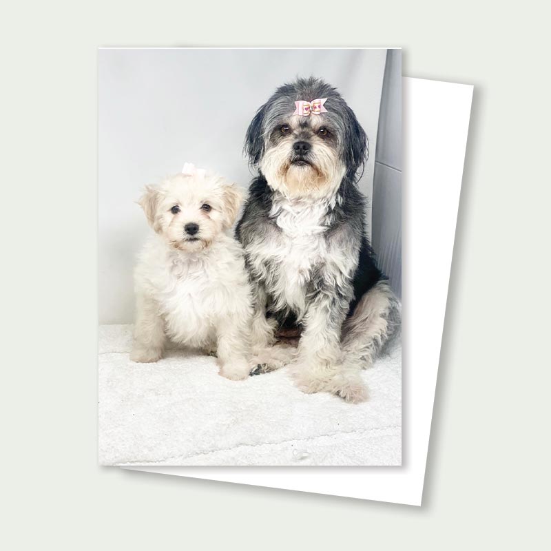 Minka and Mom Rescue Card