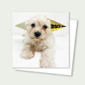 Minka Doodle Party Hats Rescue Card 3x3