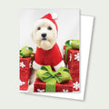 Minka the Doodle Holiday Rescue Card - Doodle Santa & Presents Card