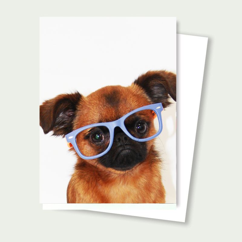 Bart the Brussels Griffon - Smarty Pants