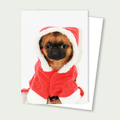 Bart Smooth Coat Brussels Griffon Santa