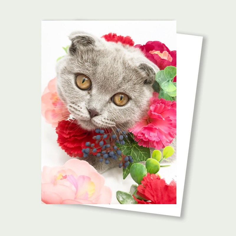 Scottish Fold Cat Floral Card