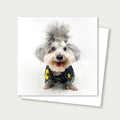 Charlie Denim Poodle Rescue Card 3x3