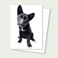 Black and white puppy on a greeting card with a white background