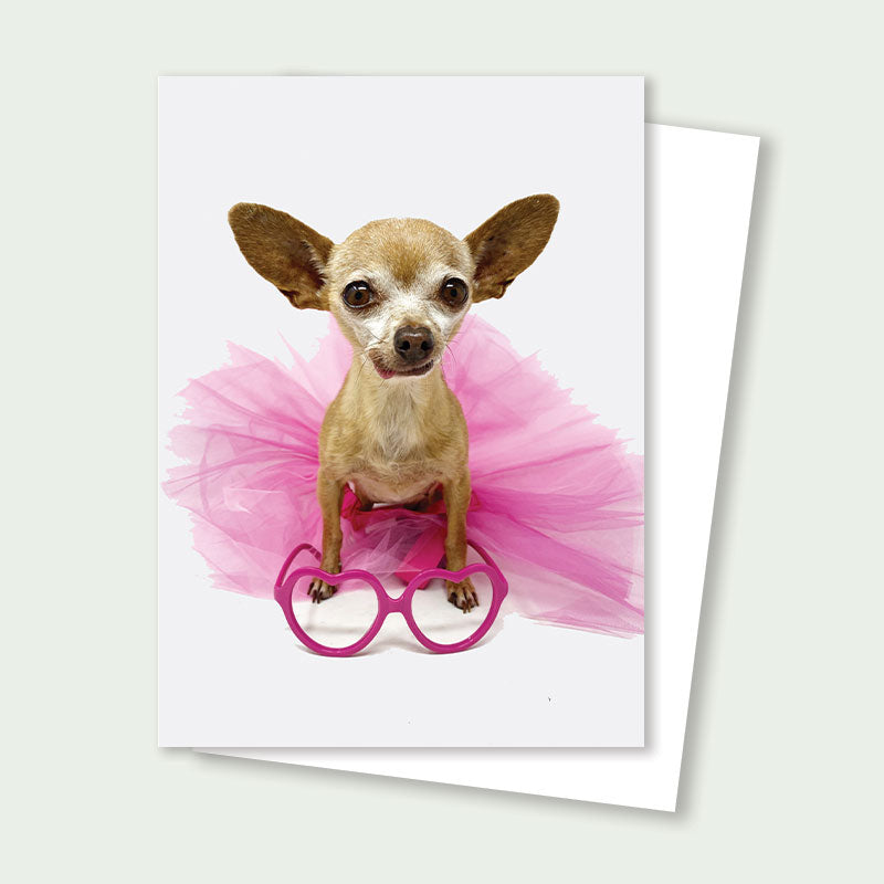 Hazel Tiny Chihuahua Rescue Card
