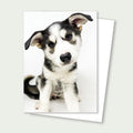 Husky Puppy Heart Nose Rescue Card