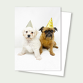 Minka & Sprout- Doodle Puppy/ Brussels Griffon Party Hats