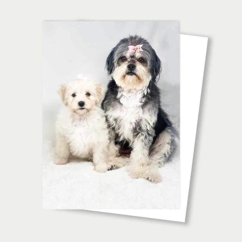 Mom and Puppy Card - Shih Tzu Mix Mom and Doodle Puppy