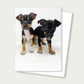 Ollie and Moose Puppies Rescue Card