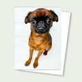 Smooth Coat Brussels Griffon Pup Card