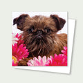 Sprout Flowers Brussels Griffon Card 3x3