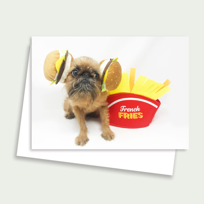 Sprout the Brussels Griffon - Hamburger and Fries