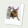 Sprout and Birdie the Scottish Fold - Cat and Mouse Card