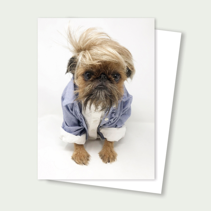 Sprout the Brussels Griffon - Dressed to impress