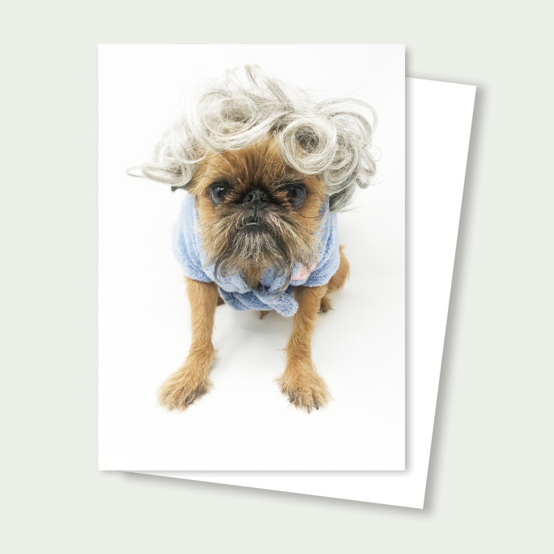 Sprout the Brussels Griffon - Grumpy Grandpa