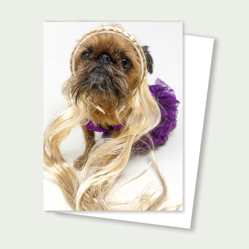 Sprout the Brussels Griffon - Rapunzel Princess