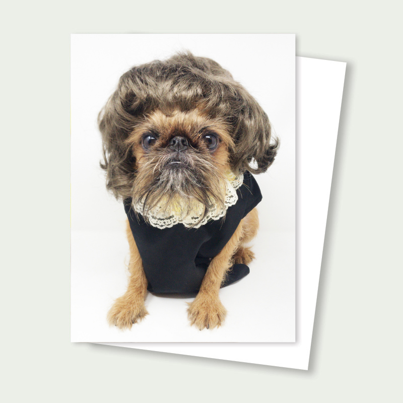 Sprout the Brussels Griffon Judge Judy card