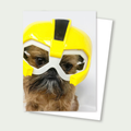 Sprout the Brussels Griffon - Mask