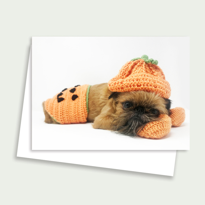 Sprout the Brussels Griffon - Cute Pumpkin