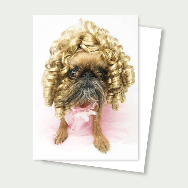 Sprout the Brussels Griffon - Shirley Temple