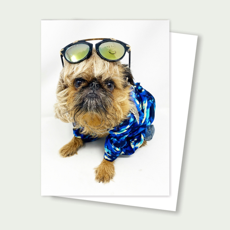 Sprout the Brussels Griffon - Tiger King Joe Exotic