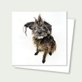 Tootsie Senior Tiny Terrier Rescue Card 3x3