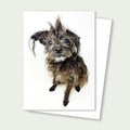 Tootsie Senior Tiny Terrier Rescue Card