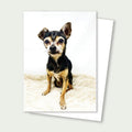 Tucker the Senior Chihuahua Rescue Card