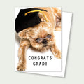 Zoey Grad Card - Brussels Griffon Graduation